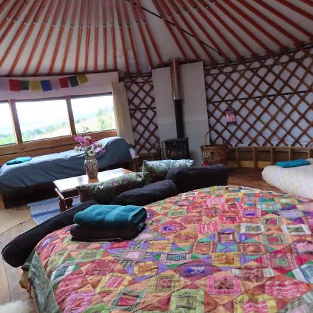 Fire Yurt Hotell Machynlleth Exteriör bild