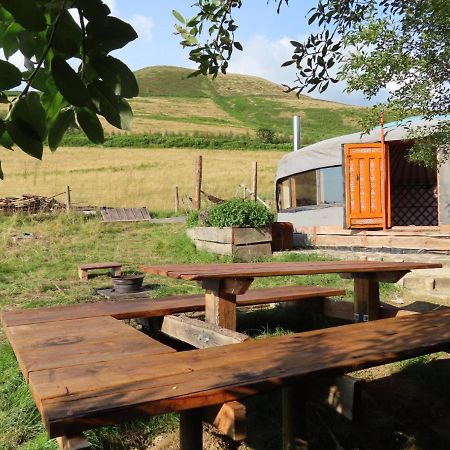 Fire Yurt Hotell Machynlleth Exteriör bild