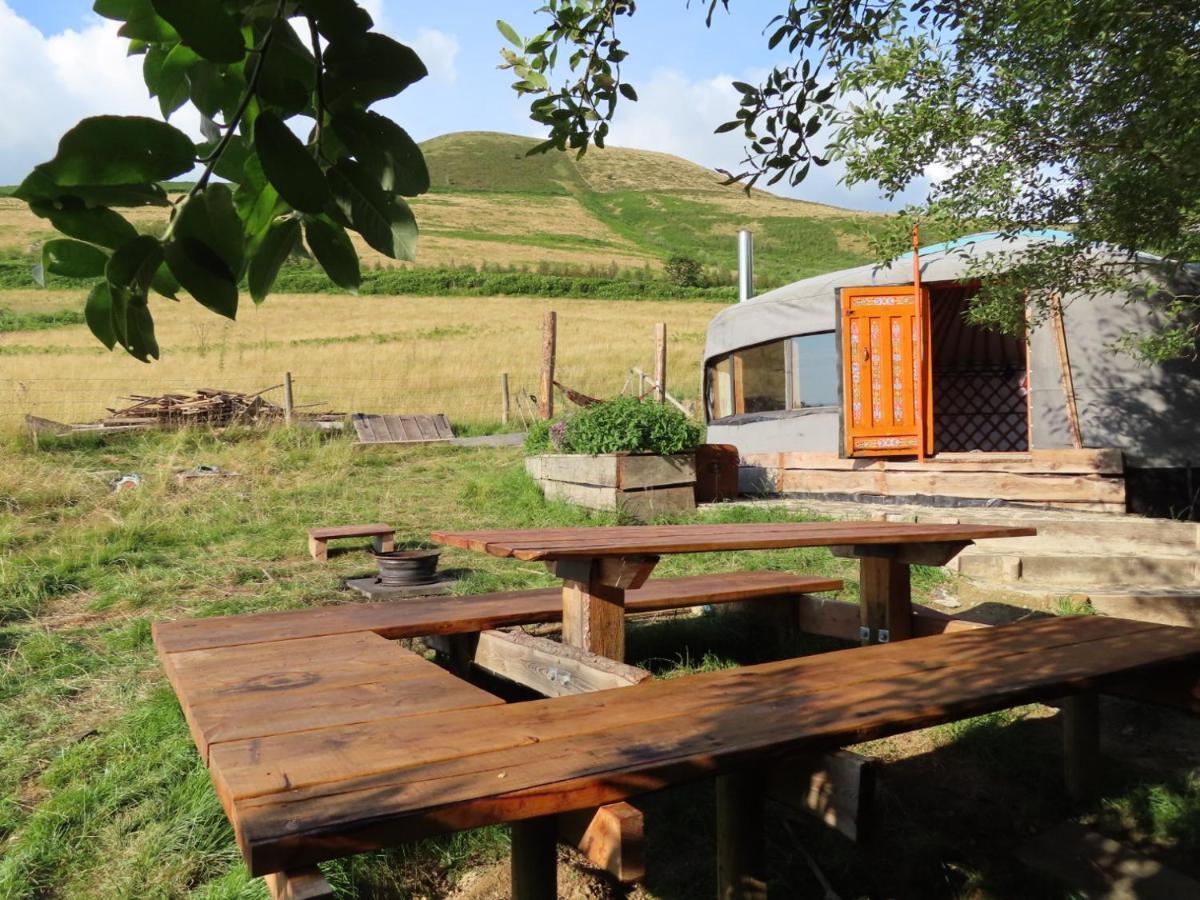 Fire Yurt Hotell Machynlleth Exteriör bild