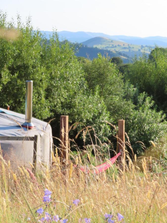 Fire Yurt Hotell Machynlleth Exteriör bild